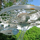 Is it a bird? Is it a plane? Neither, it’s a starship.
